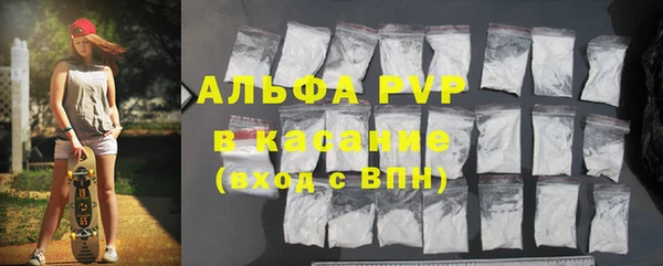 spice Бородино