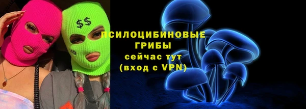 spice Бородино