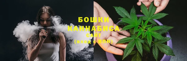 spice Бородино