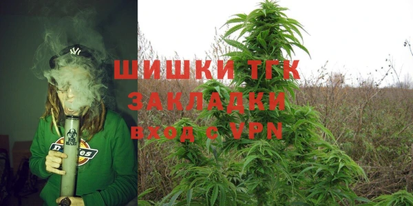 spice Бородино
