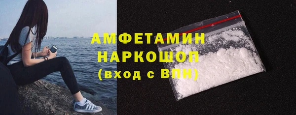 молекула духа Бронницы