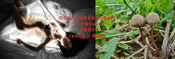молекула духа Бронницы